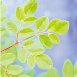 サムネイル画像2